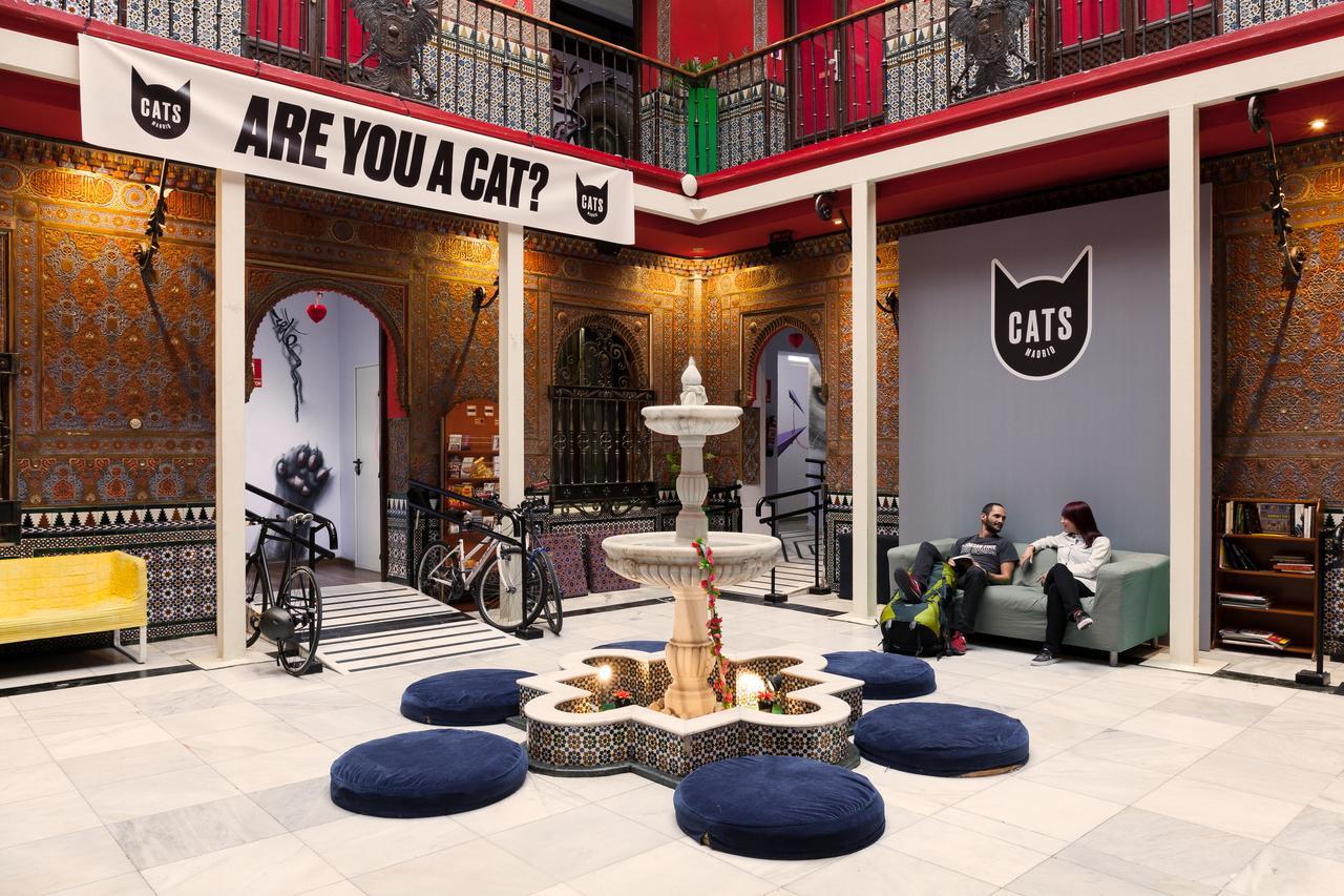 Cats Hostel Madrid Sol מראה חיצוני תמונה